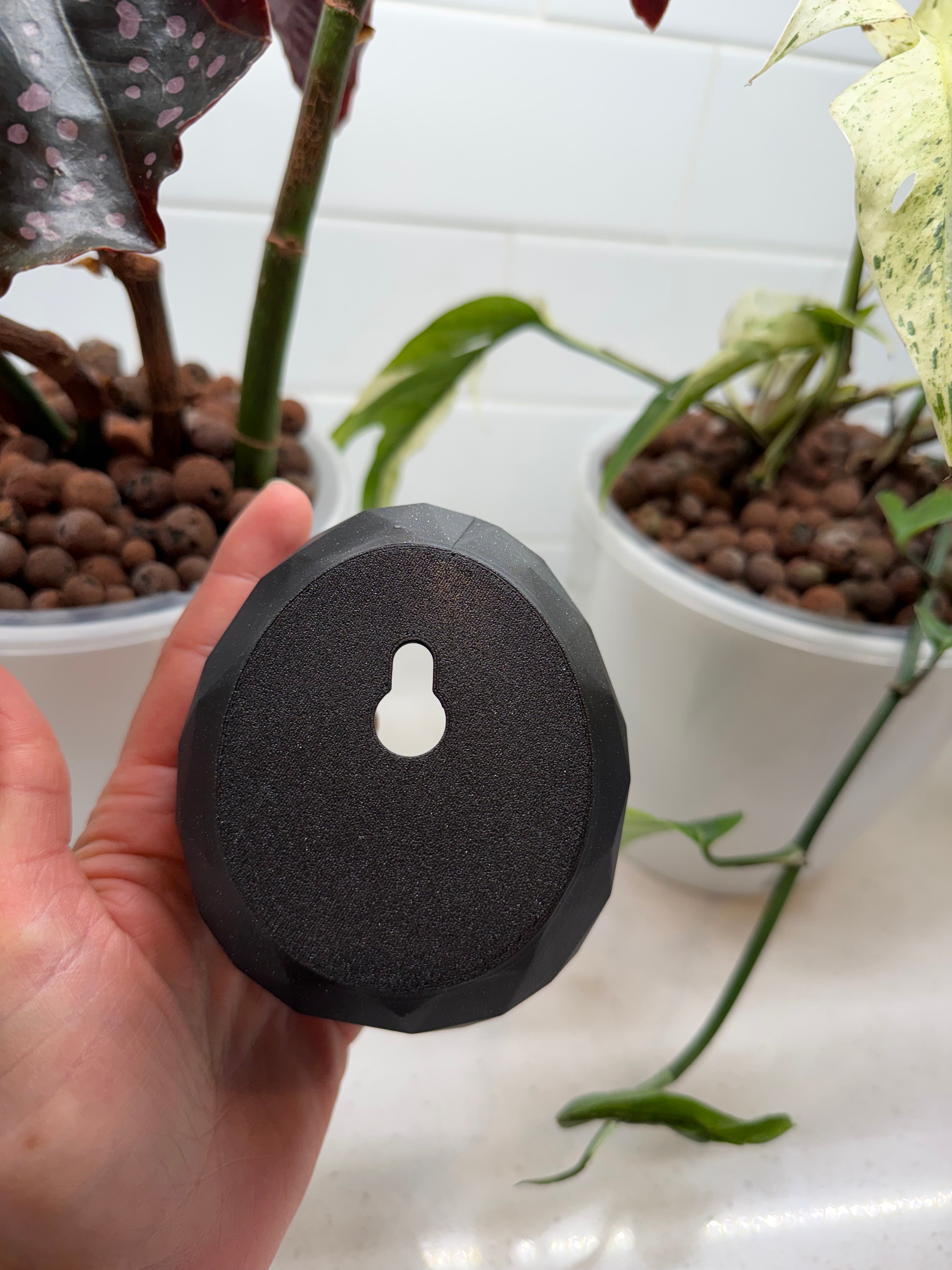 Egg Shaped Reptile Hide