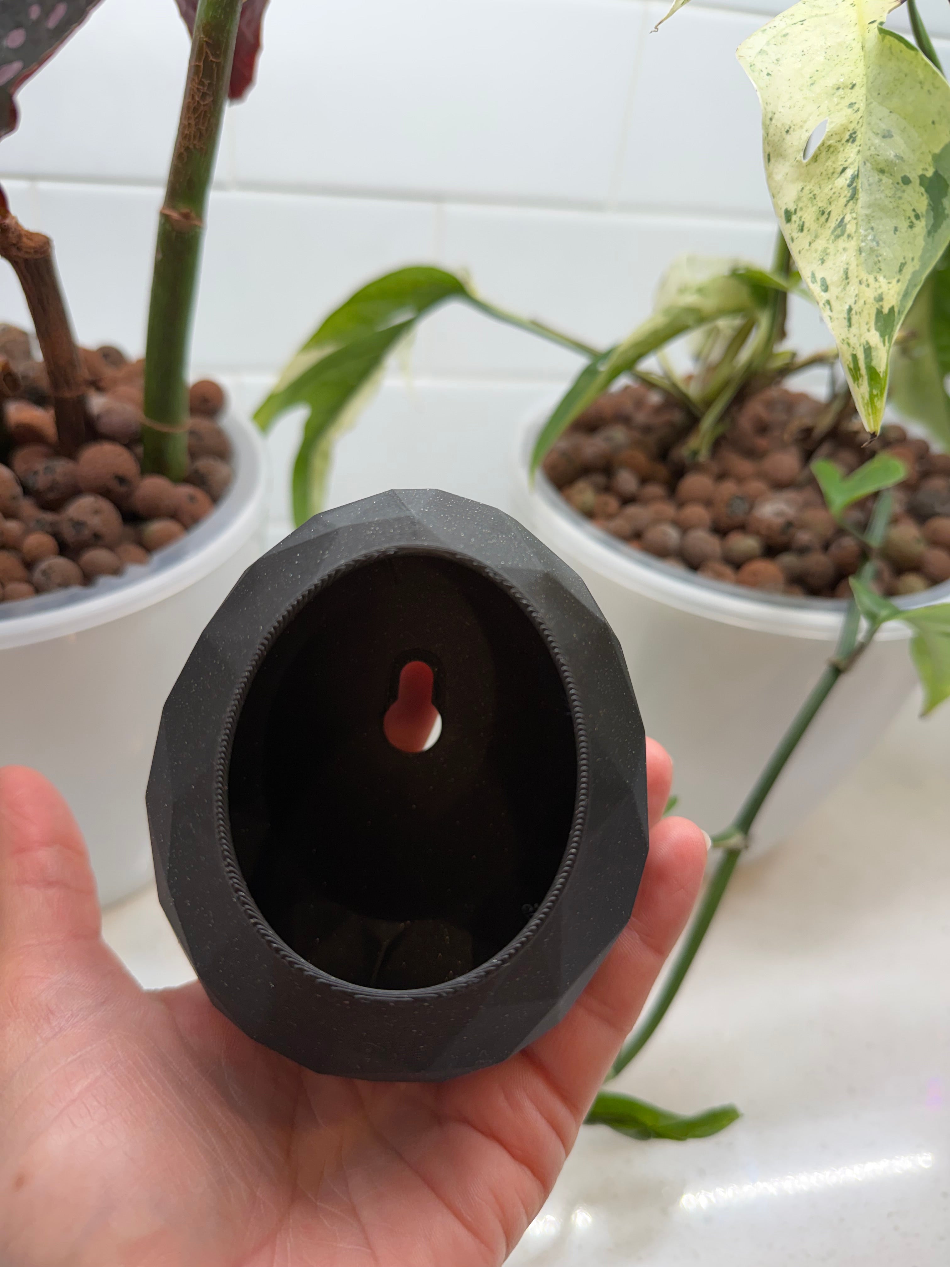 Egg Shaped Reptile Hide