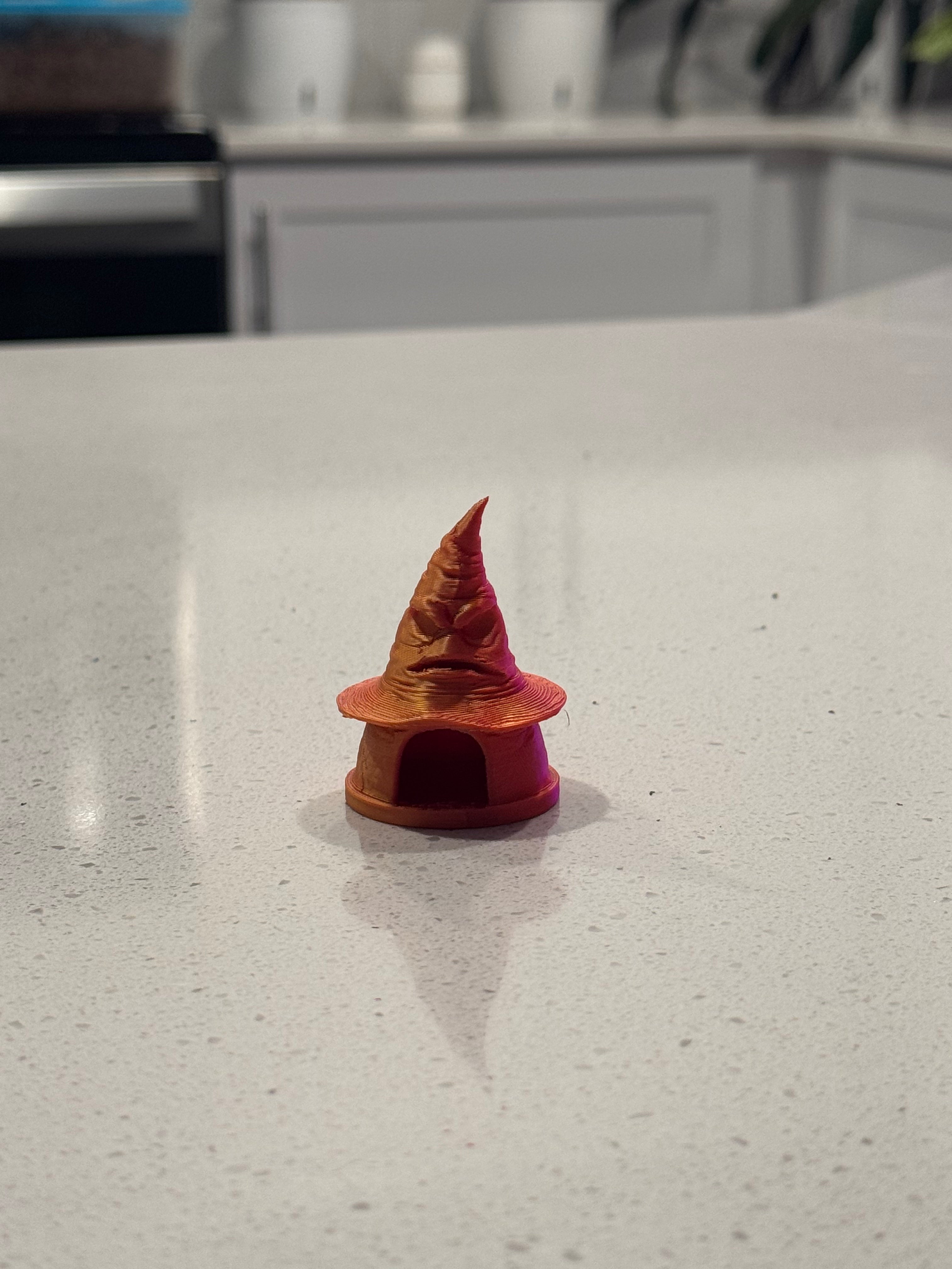 Jumping spider Sorting Harry Potter Hat