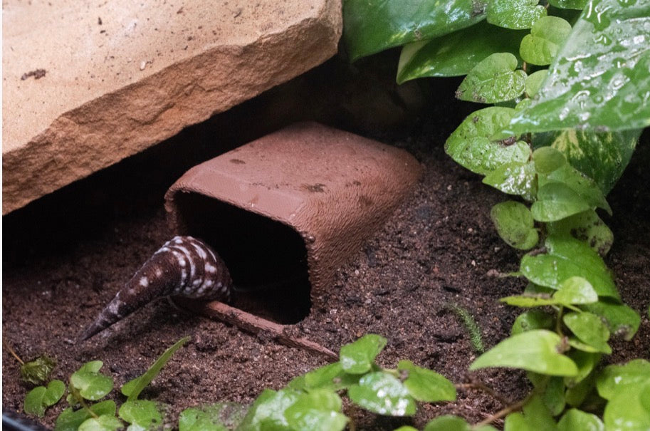 Customizeable Underground Reptile Humid Hide
