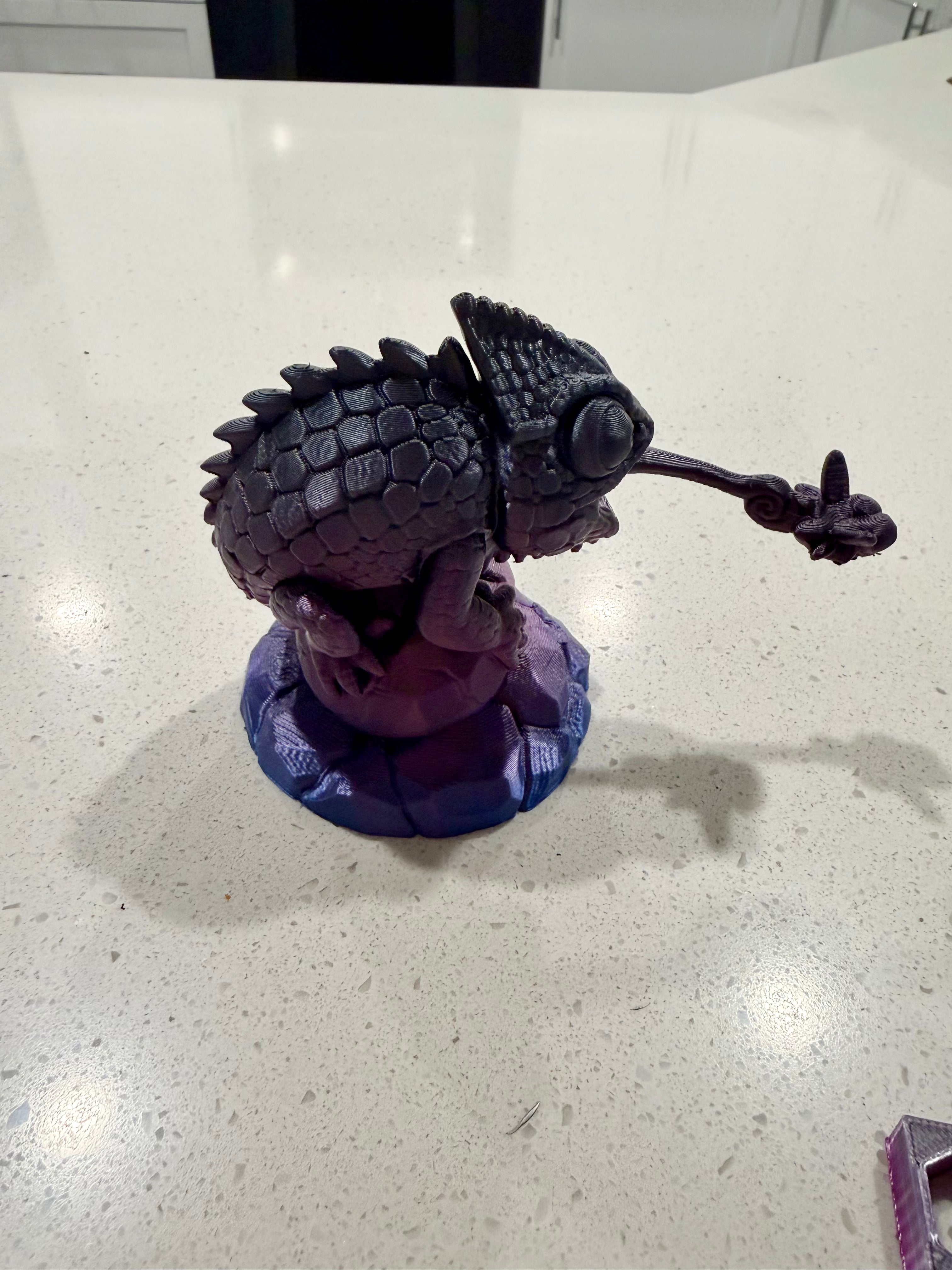 Chameleon