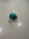 Tree Frog