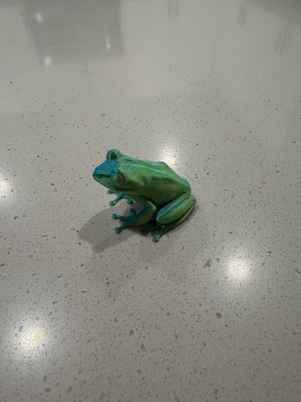 Tree Frog