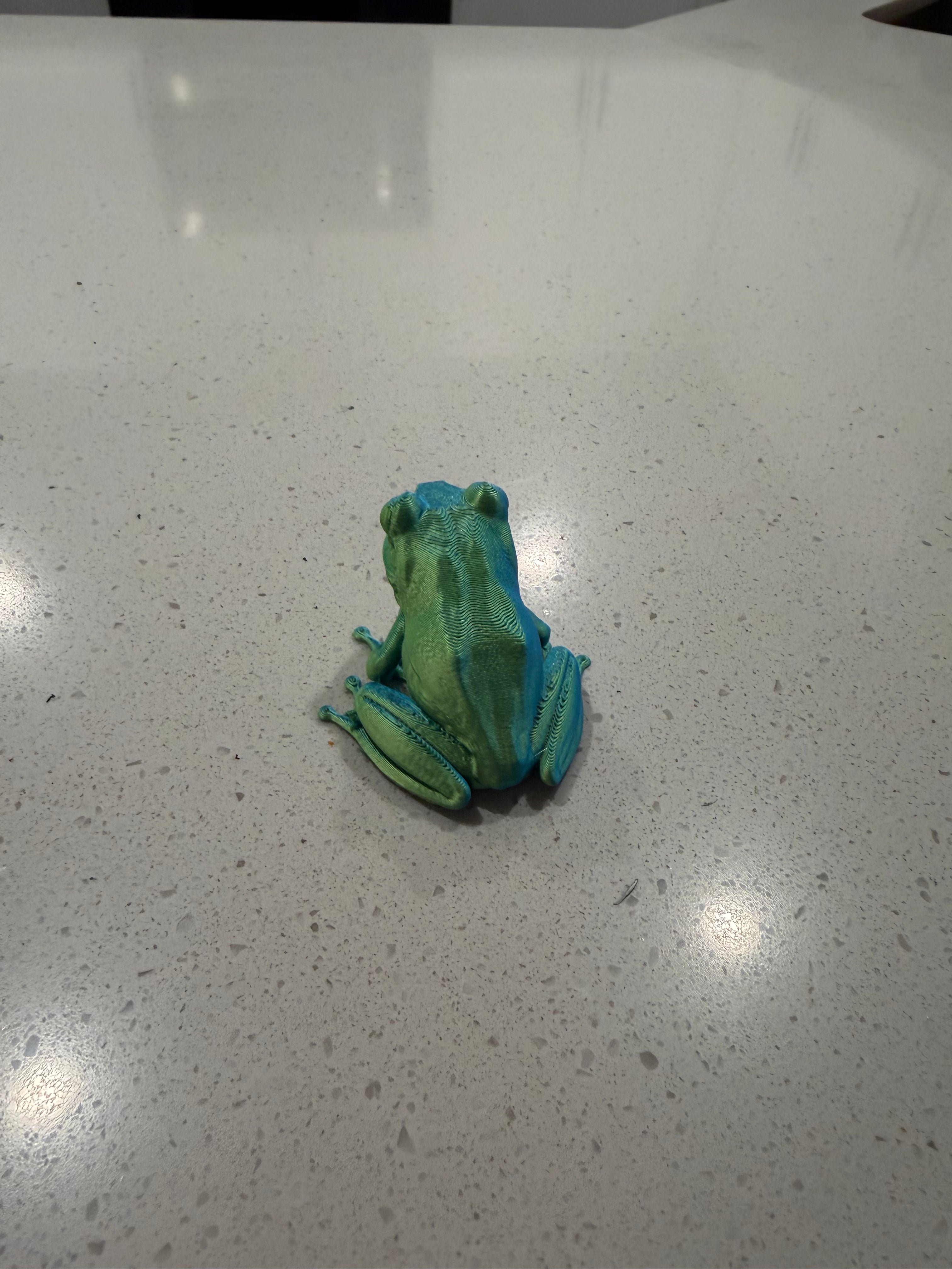 Tree Frog